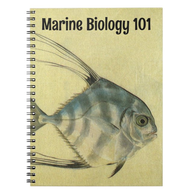 Cuaderno Pez Palometa Africano, Jurel de Aleta Roscada Vint (Frente)