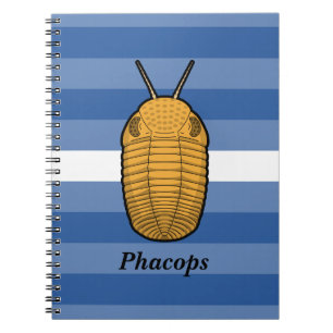 Cuaderno Phacops Trilobita- Animal Prehistórico