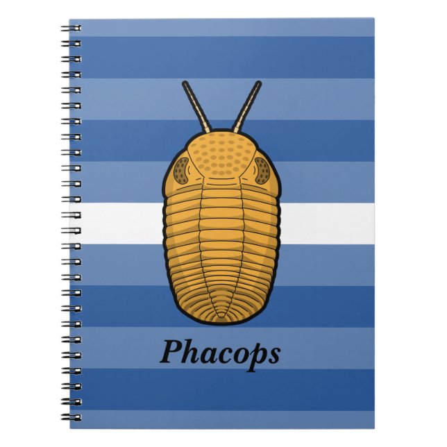 Cuaderno Phacops Trilobita- Animal Prehistórico (Frente)
