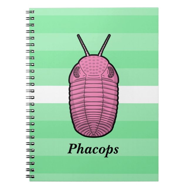 Cuaderno Phacops Trilobita- Animal Prehistórico (Frente)