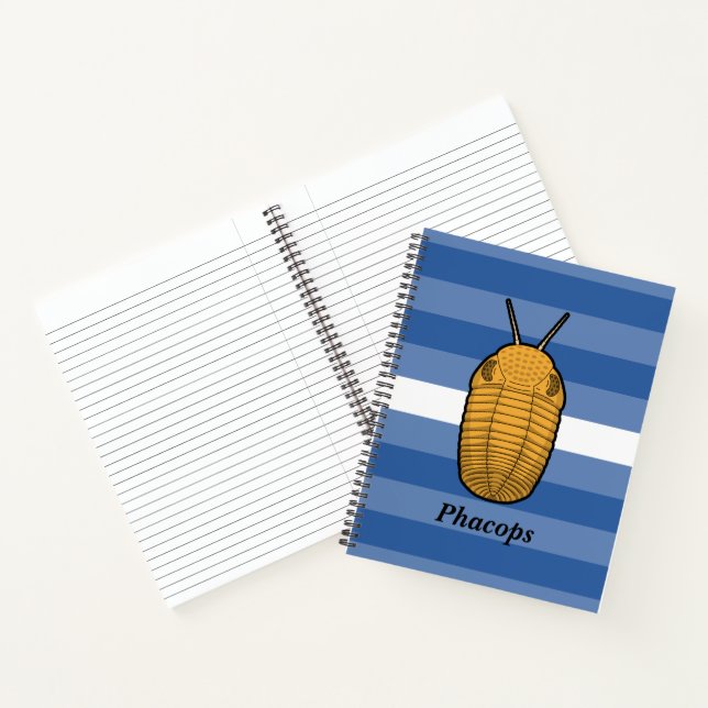 Cuaderno Phacops Trilobita- Animal Prehistórico (Interior)