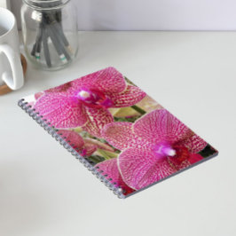 Cuaderno Phalaenopsis Específica Rosa Orquídea