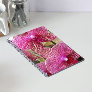 Cuaderno Phalaenopsis Específica Rosa Orquídea