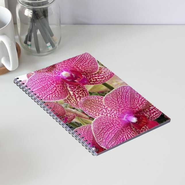 Cuaderno Phalaenopsis Específica Rosa Orquídea (In Situ)