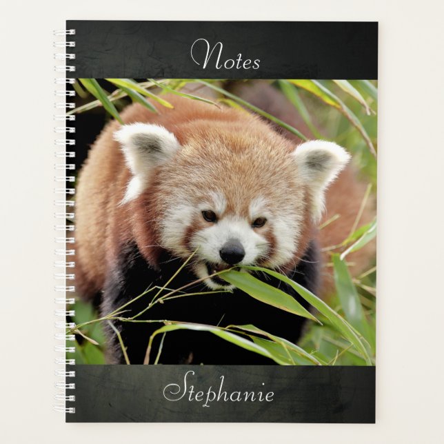 cuaderno Photo red panda , animales 02. cuaderno (Anverso)