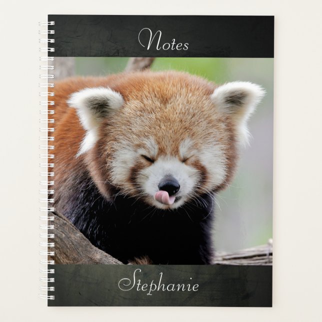 cuaderno Photo red panda , animales 03. cuaderno (Anverso)