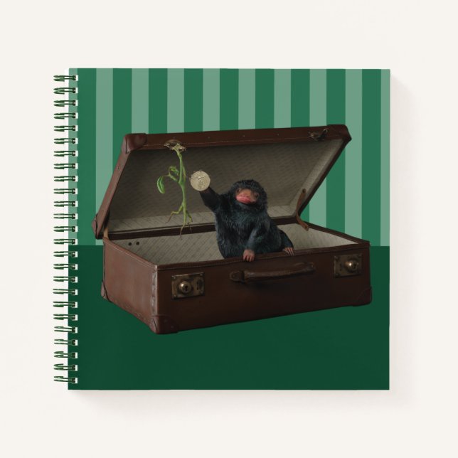 Cuaderno Pickett & Teddy in Briefcase (Anverso)