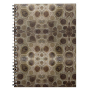 Cuaderno Piedra Petoskey