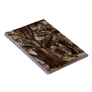 Cuaderno Piedras del tejo del cementerio de la genealogía