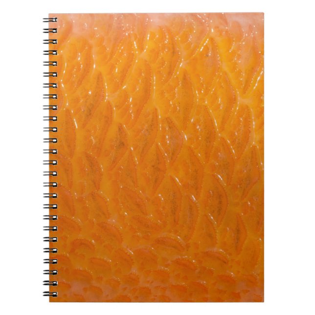 Cuaderno Piel de Rockfish (Frente)