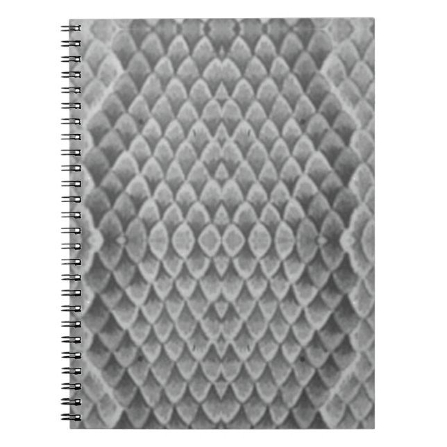 Cuaderno Piel de serpiente gris (Frente)