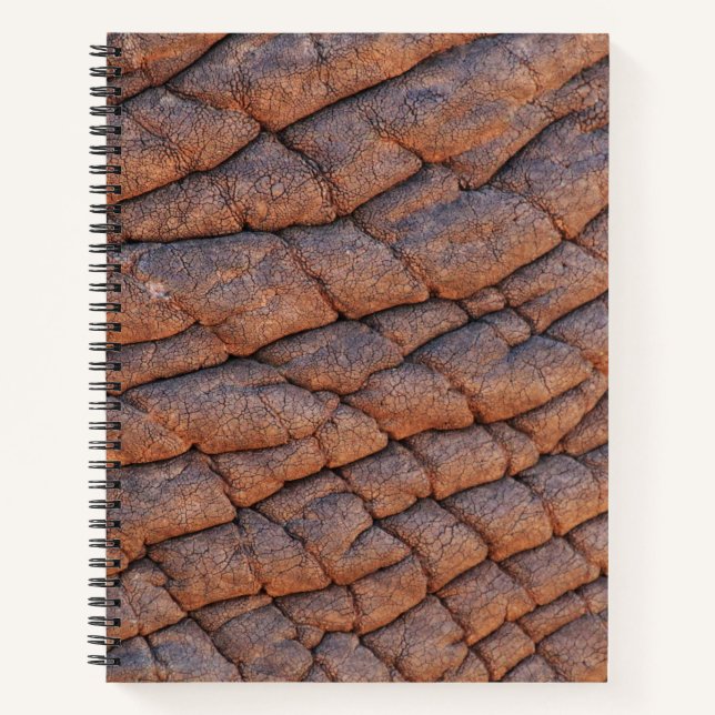 Cuaderno Piel elefante (Anverso)