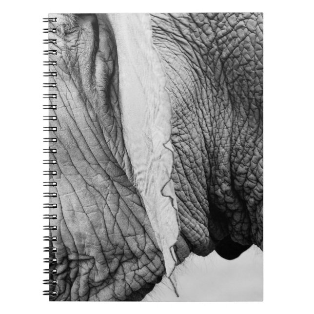 Cuaderno Piel elefante de animales salvajes (Frente)