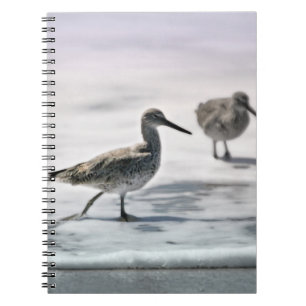 Cuaderno Pieles de arena