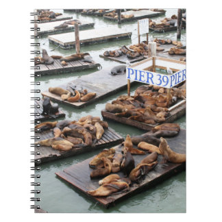 Cuaderno Pier 39 Sea Lions in San Francisco