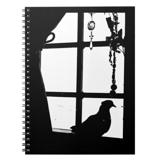 Cuaderno Pigeon de la tarde (Frente)