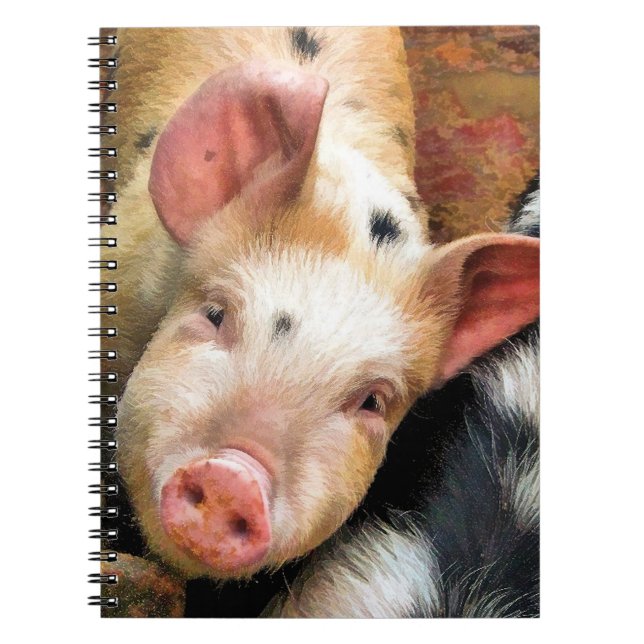 CUADERNO PIGS (Frente)