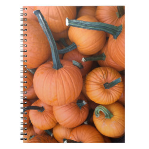 Cuaderno ¡Pila de calabaza!