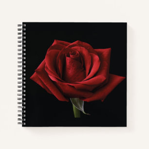 Cuaderno Pilar de lanzamiento de rosa roja