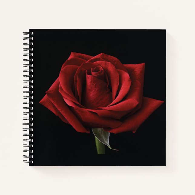 Cuaderno Pilar de lanzamiento de rosa roja (Anverso)