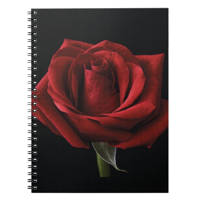 Cuaderno Pilar de lanzamiento de rosa roja (Frente)