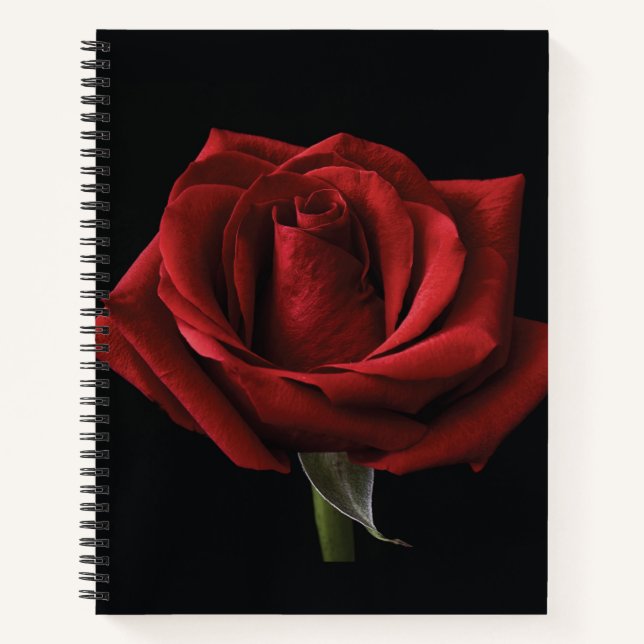 Cuaderno Pilar de lanzamiento de rosa roja (Anverso)
