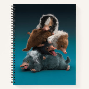 Cuaderno Pile Baby NIFFLER™