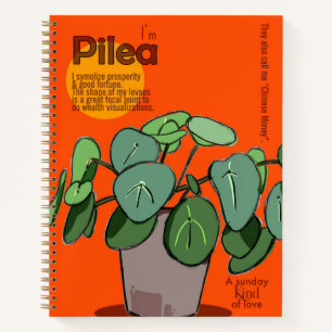 Cuaderno Pilea