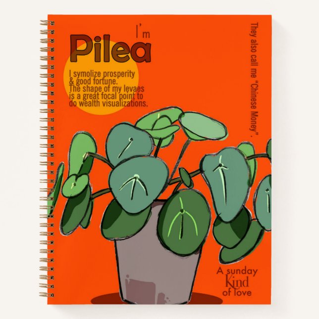 Cuaderno Pilea (Anverso)