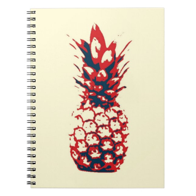 Cuaderno Piña (Frente)
