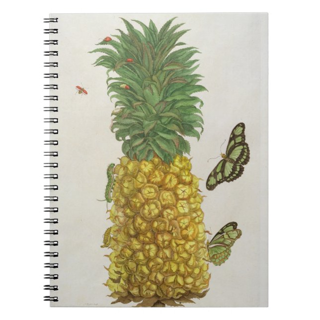 Cuaderno Piña con la oruga y las mariposas (mano-c (Frente)