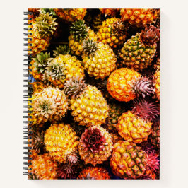 Cuaderno Piñas
