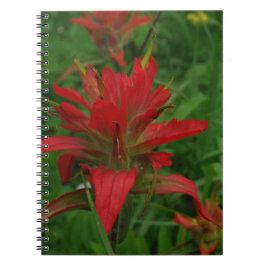 Cuaderno Pincel de pintura indio