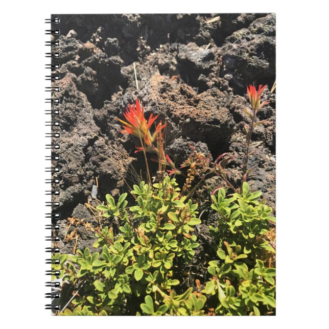 Cuaderno Pincel indio (Frente)