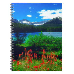 Cuaderno Pinceles de Indio