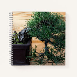 Cuaderno Pine negro japonés Bonsai Tree