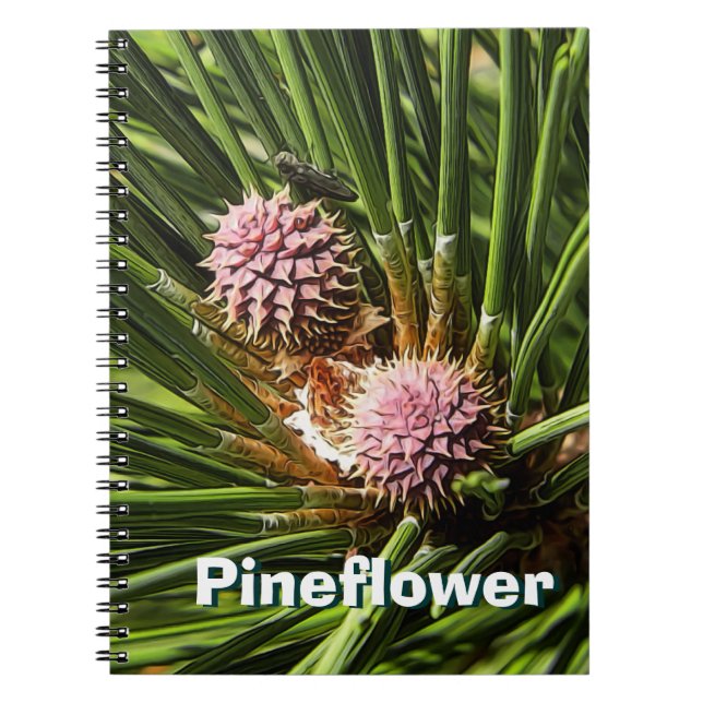 Cuaderno Pinefluente (Frente)