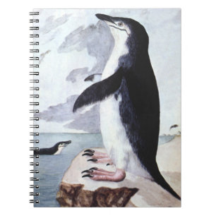 Cuaderno Pingüino de Barbijo, Aves Antiguas de la Antártida