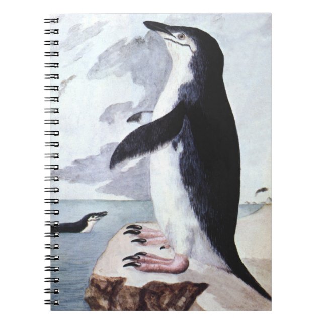 Cuaderno Pingüino de Barbijo, Aves Antiguas de la Antártida (Frente)