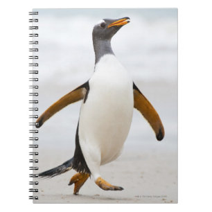 Cuaderno Pingüino de Gentoo