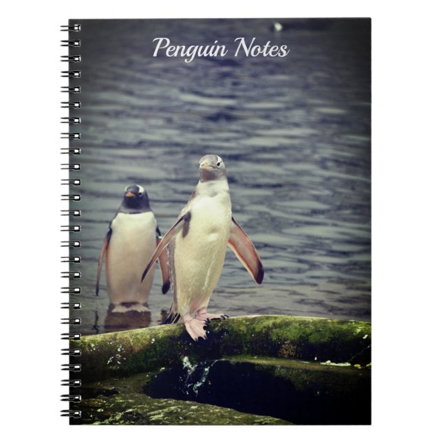 Cuaderno Pingüino Gris del Zoológico de Edimburgo Escocia (Frente)