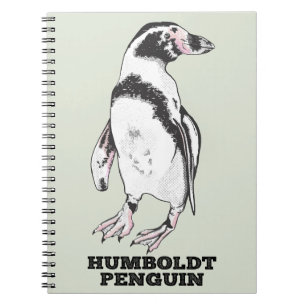 Cuaderno Pingüino Humboldt