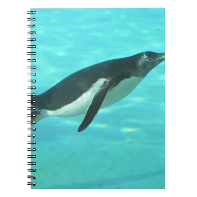 Cuaderno Pingüino que nada bajo el agua (Frente)