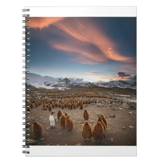 Cuaderno Pingüinos al atardecer