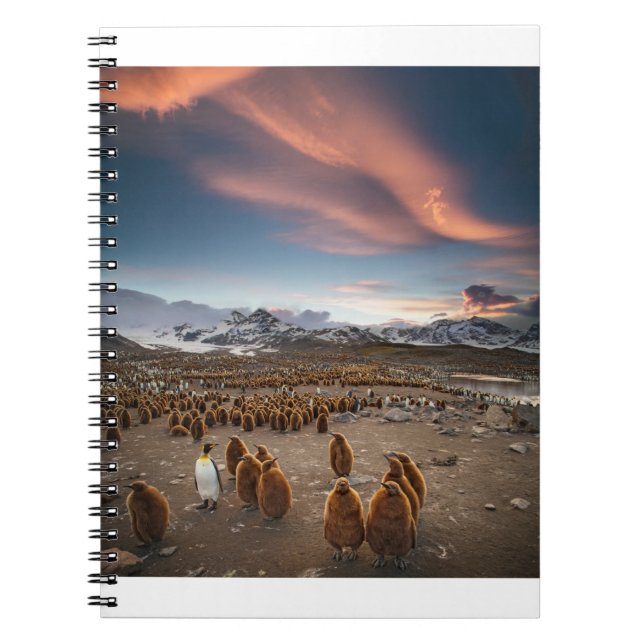 Cuaderno Pingüinos al atardecer (Frente)