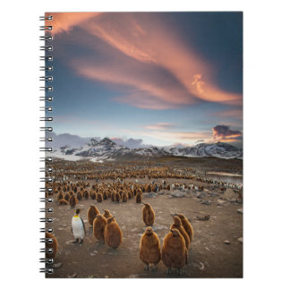 Cuaderno Pingüinos al Atardecer