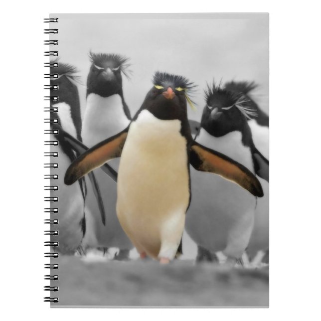 Cuaderno Pingüinos de Rockhopper (Frente)