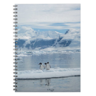 Cuaderno Pingüinos en un iceberg