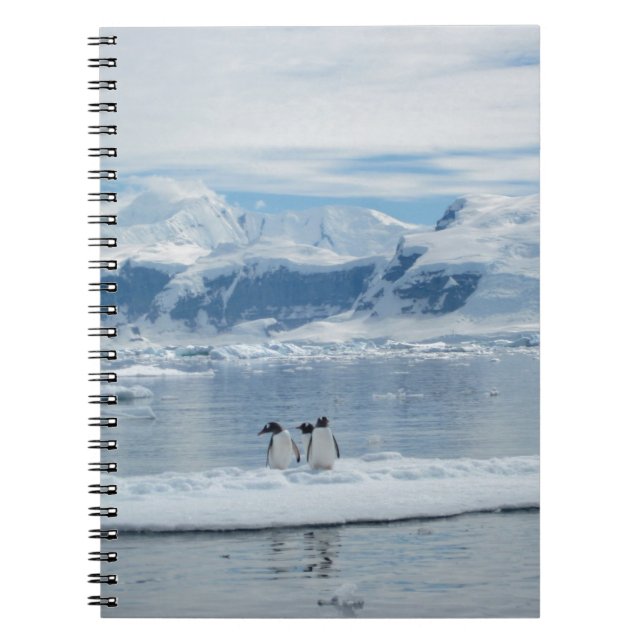 Cuaderno Pingüinos en un iceberg (Frente)