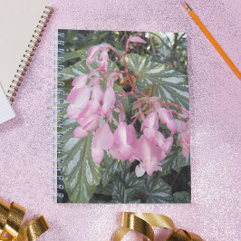 Cuaderno Pink Angel Wing Begonia Floral
